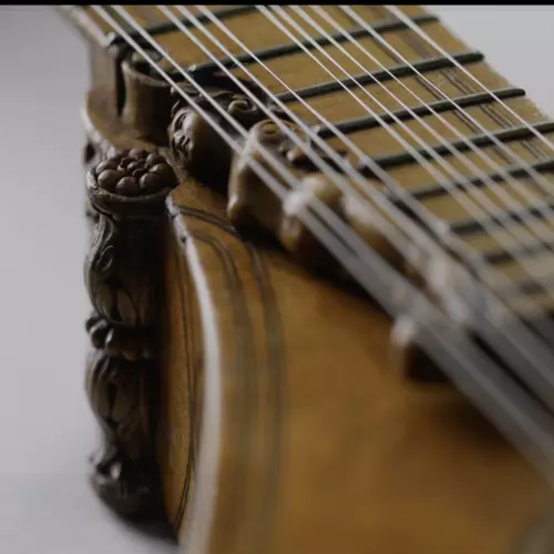 fantastic musical instruments  cover